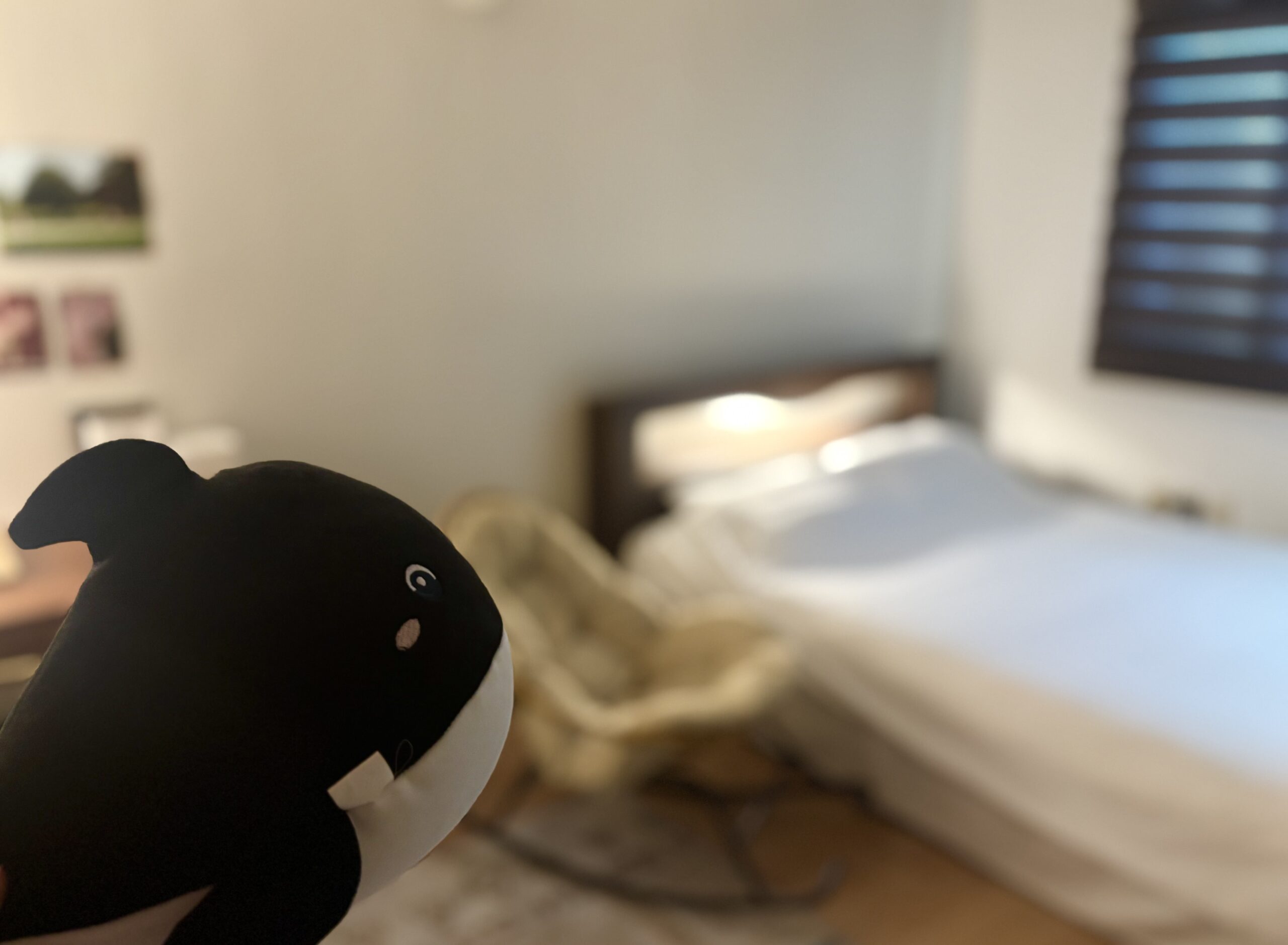 Rakki, home away from home gallery image