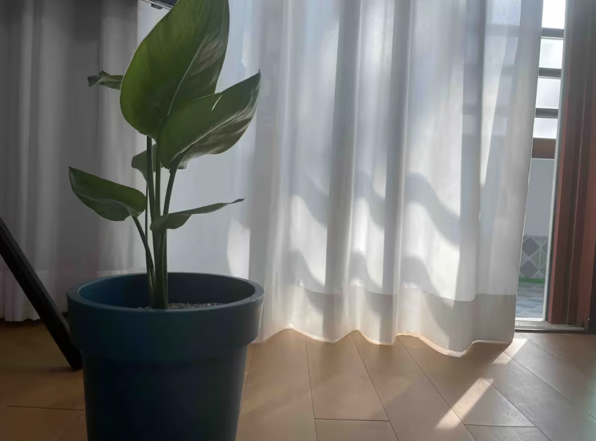 Sungan, moments, we live gallery image