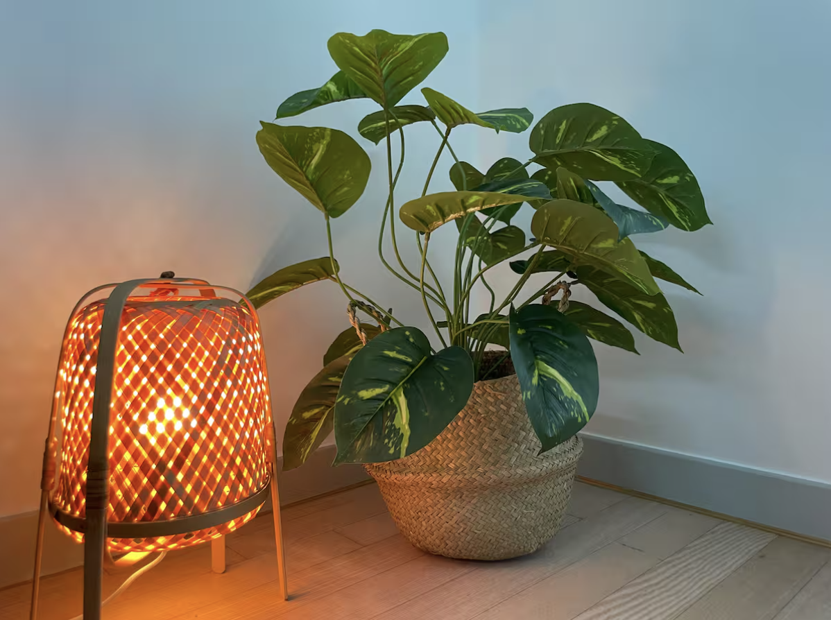 Zanzan, gentle toast to your day gallery image